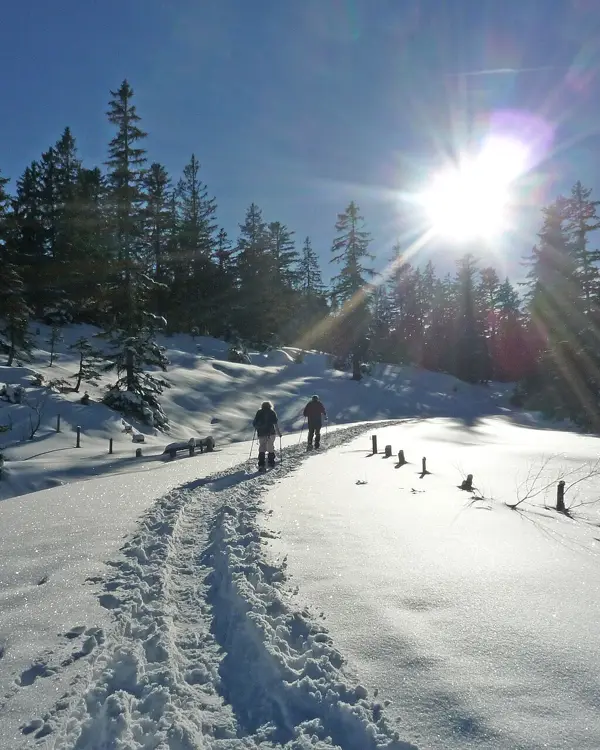 Schneeschuhspur und Wanderer in der Wintersonne bei Sonthofen im Allgäu